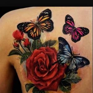 Meet your Posher, Janice